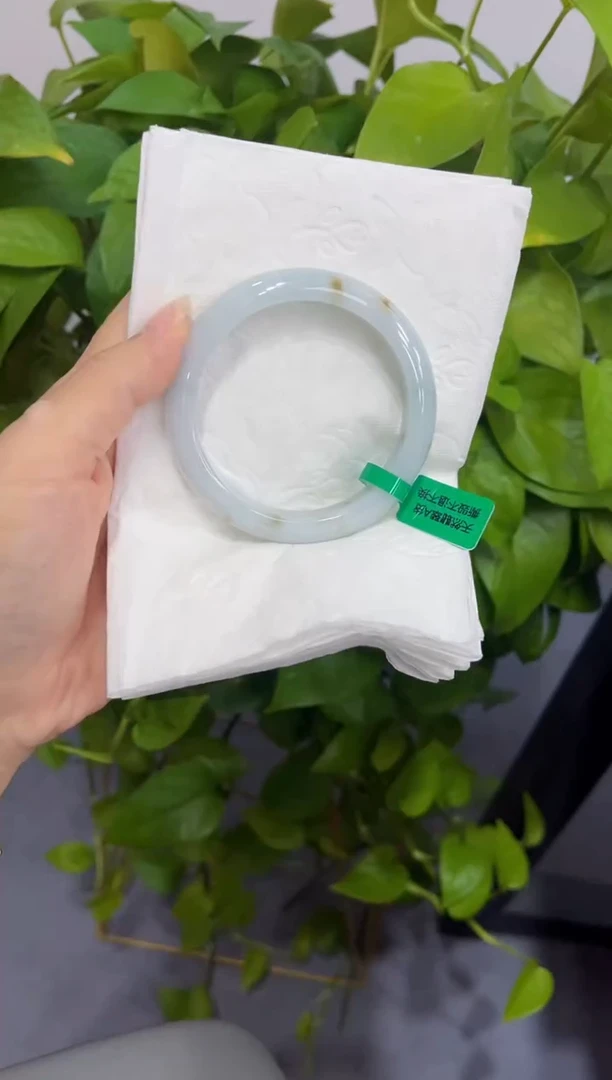 未镶嵌手镯翡翠00005887
