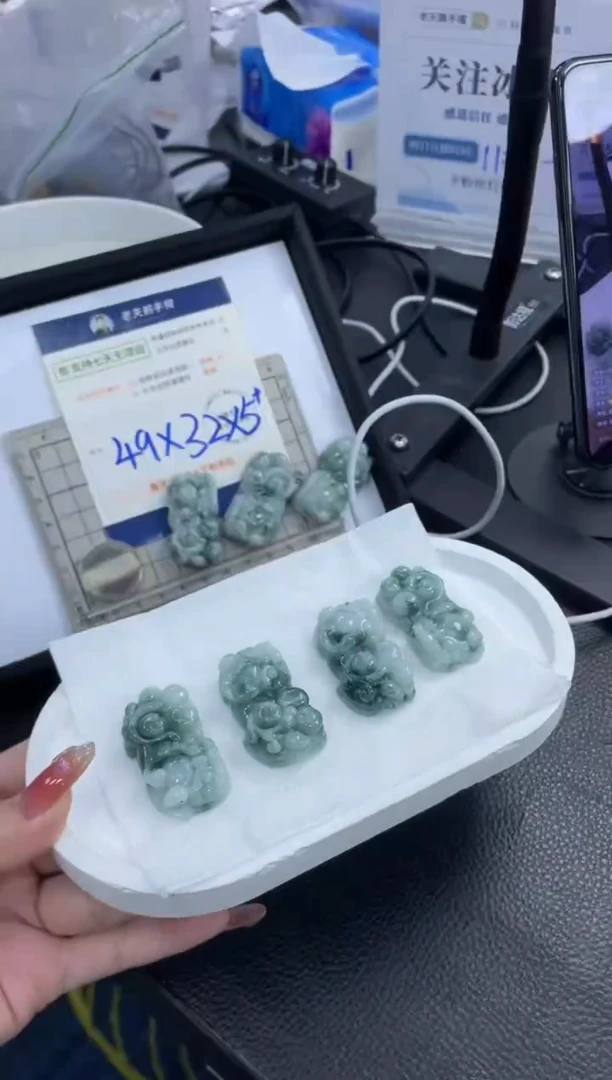 【闪购商品】翡翠挂件未镶嵌貔貅FL12配绳/多样性发其一CP