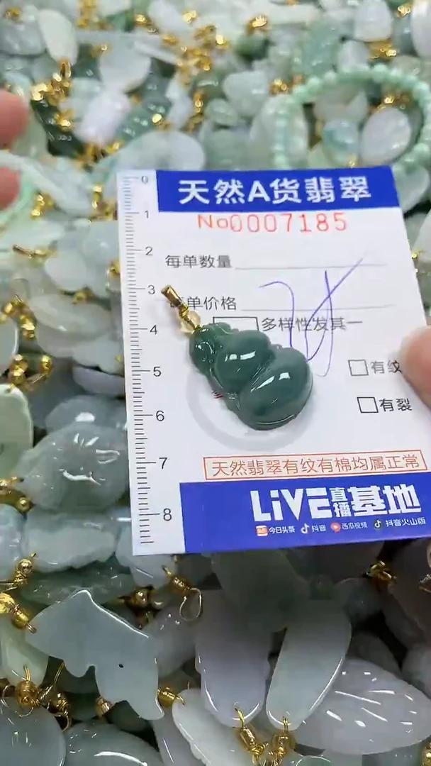颈饰未镶嵌翡翠纯天然a货翡翠