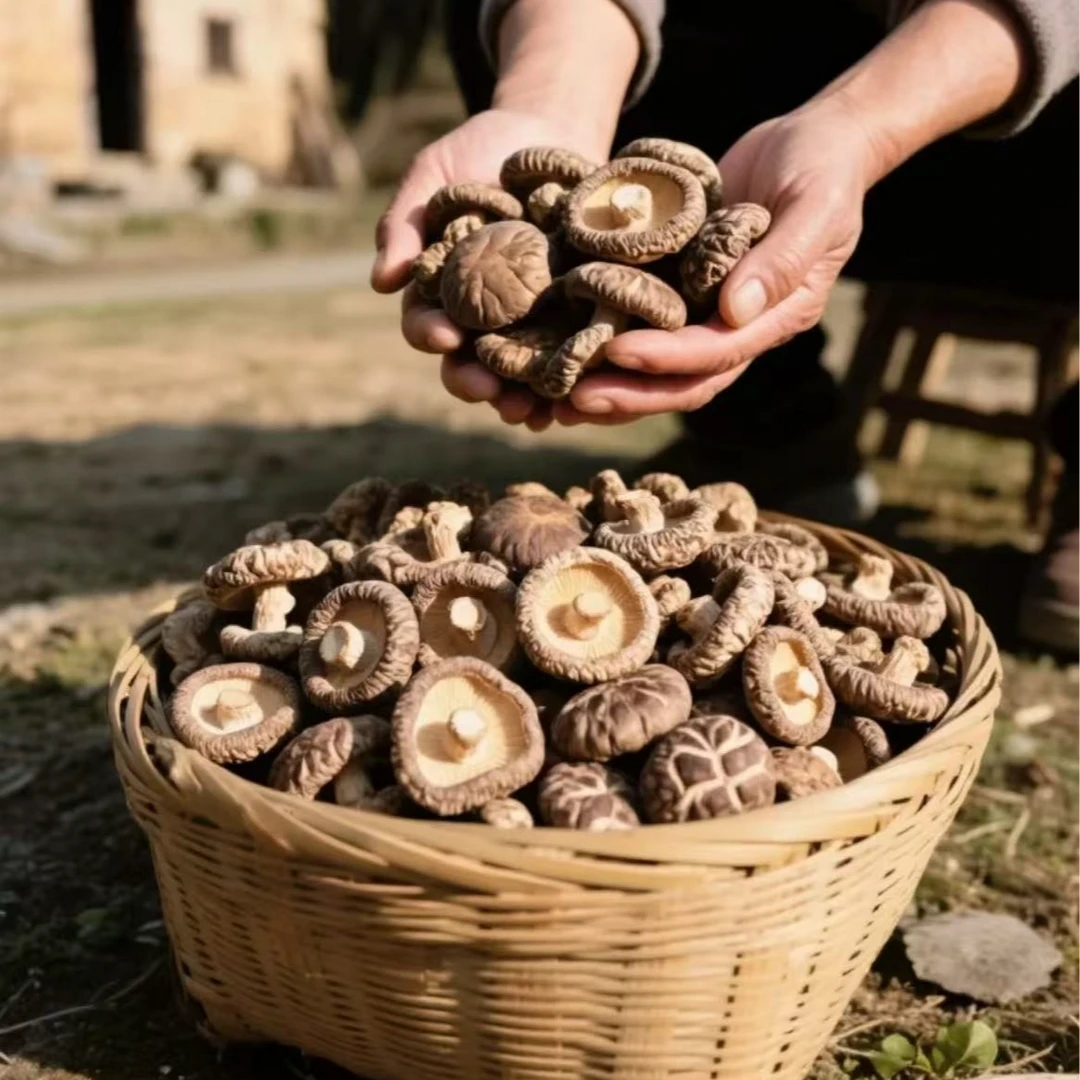 出口品质干香菇肉厚无根煲汤烧烤食材农家土特产