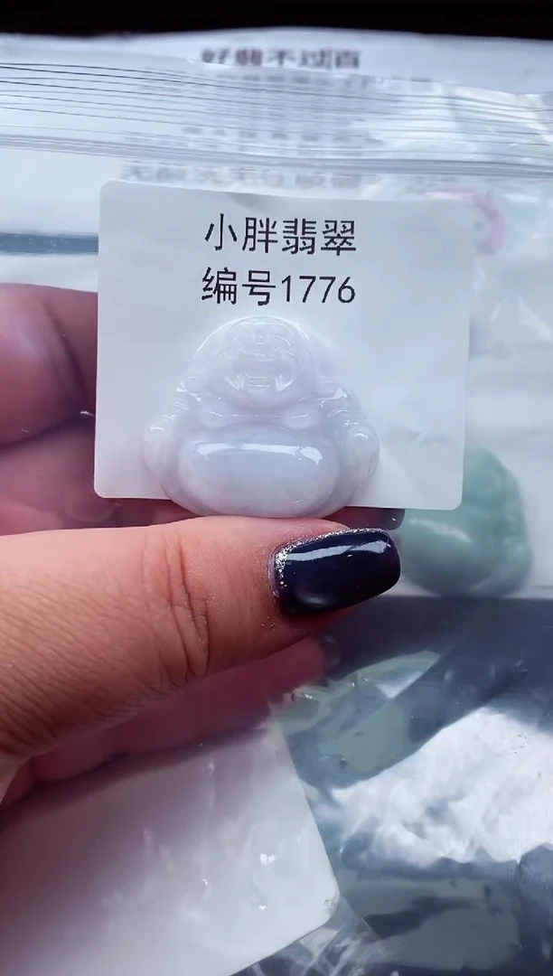 颈饰未镶嵌翡翠缅甸天然A货翡翠1776