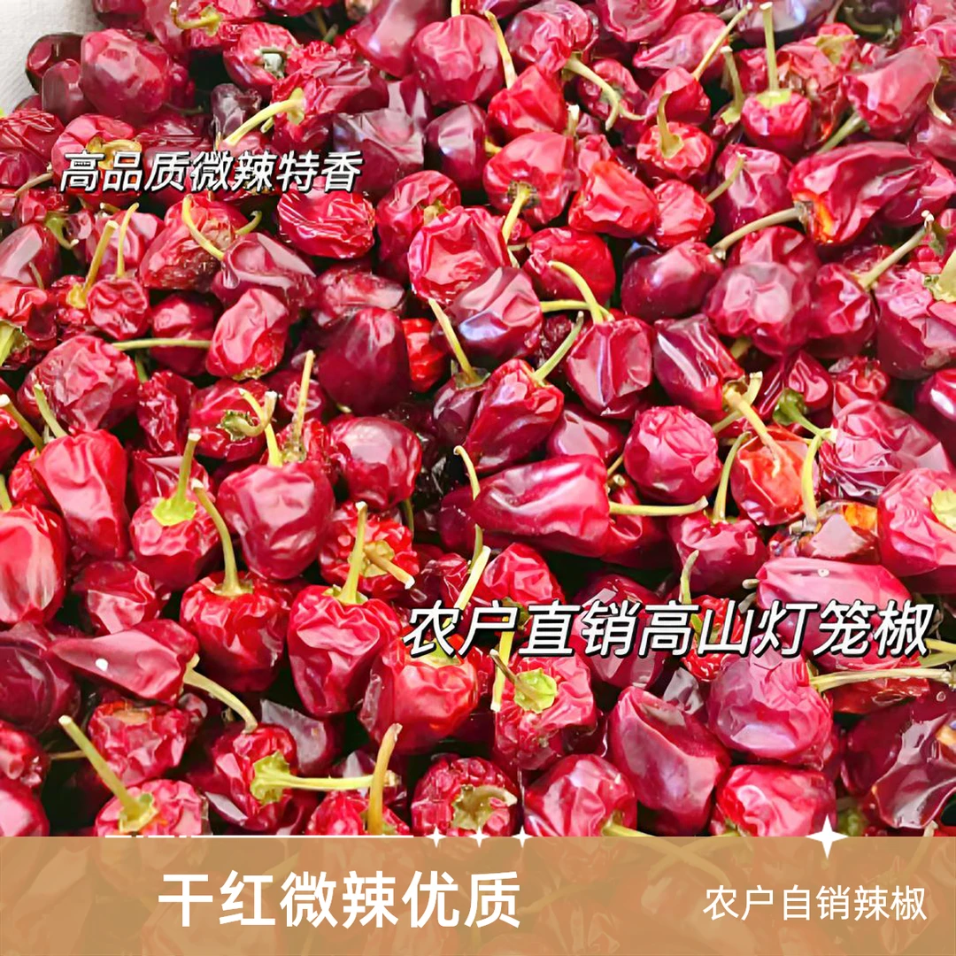 农户自销贵州干红辣椒微辣增香团子灯笼厨房辣椒果大干辣椒爆香