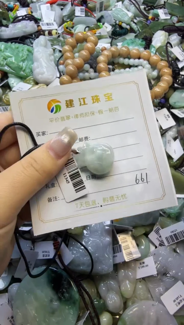 【闪购商品】翡翠颈饰未镶嵌00000661