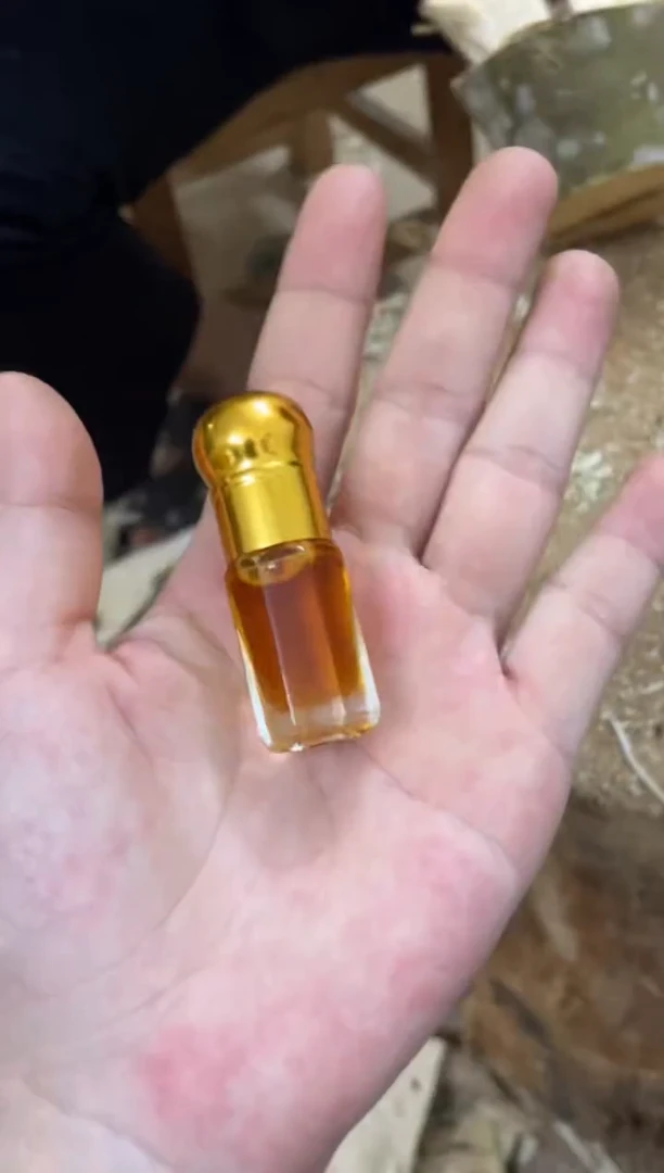 沉香沉香精油棋楠沉香 原料文创 多样性发货1份块料