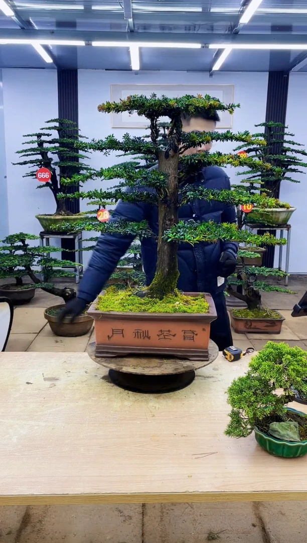 无花朵景*轩0000000000000000000