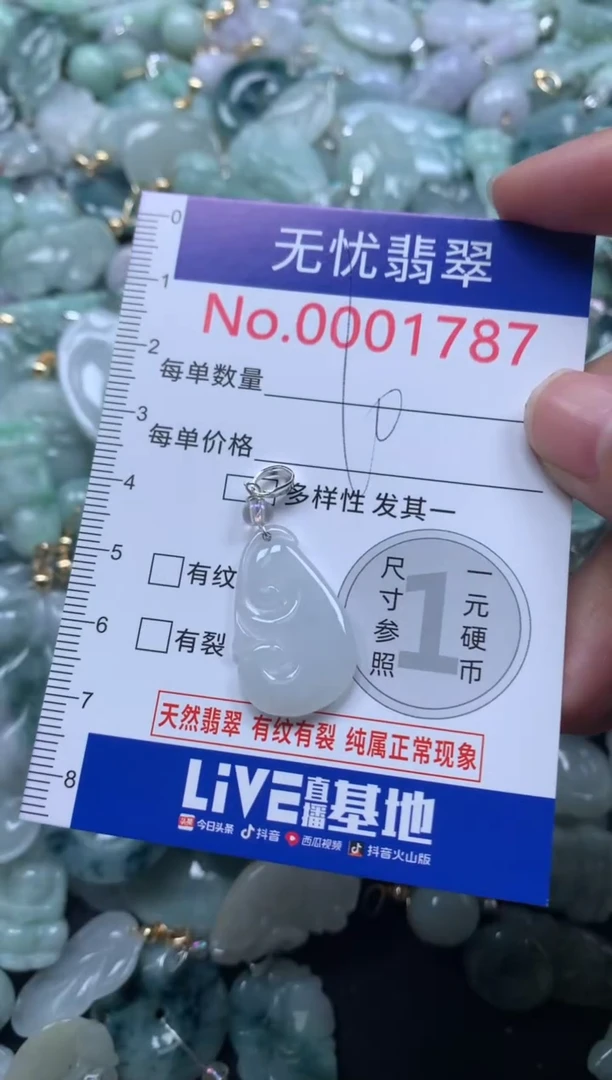 颈饰未镶嵌翡翠1787