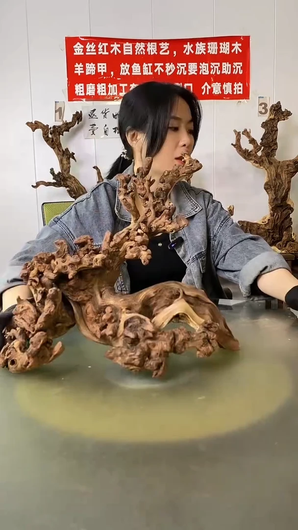 木?****?金丝红木  羊蹄甲