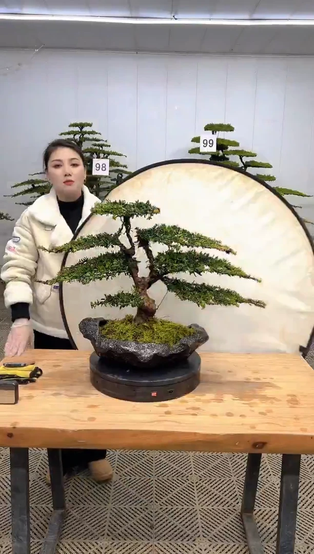 无花朵7****8一物一拍一物一拍