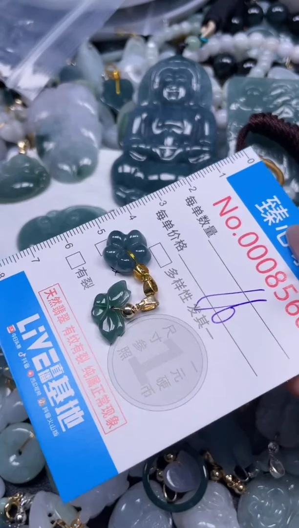 颈饰未镶嵌翡翠8560