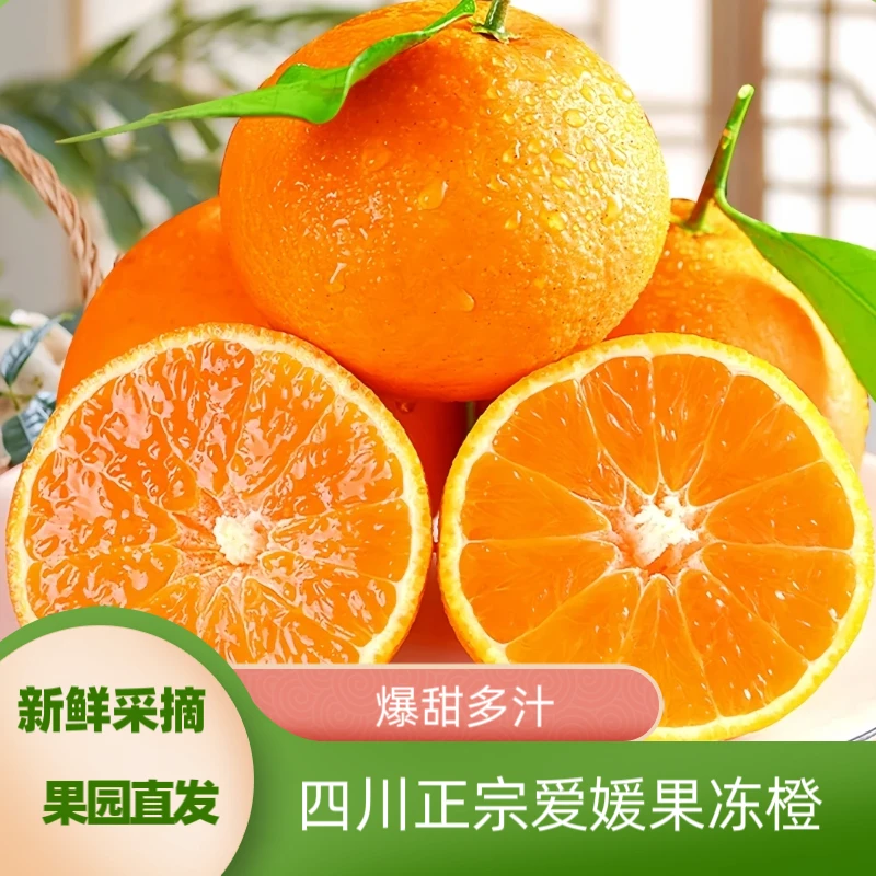 【品质精选】四川正宗爱媛果冻橙多汁甜橙应季水果营养丰富产地直发