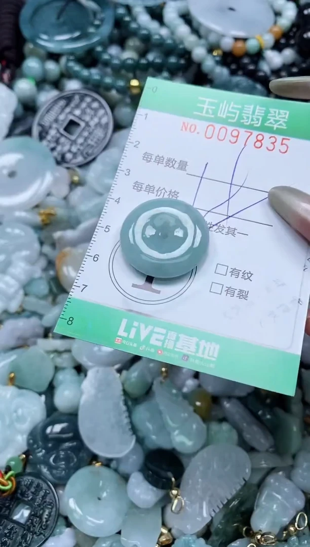 【闪购商品】翡翠未镶嵌颈饰闪购0097835多样性发其一