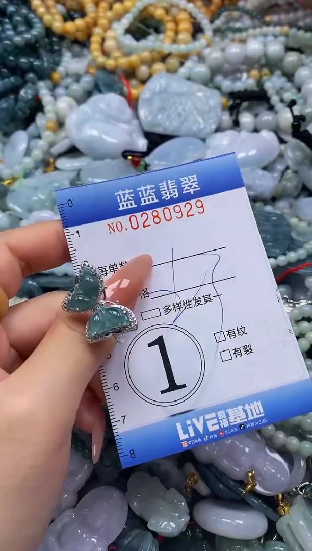 翡翠未镶嵌颈饰闪购0280929
