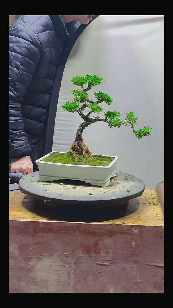 完全开放用****111111111