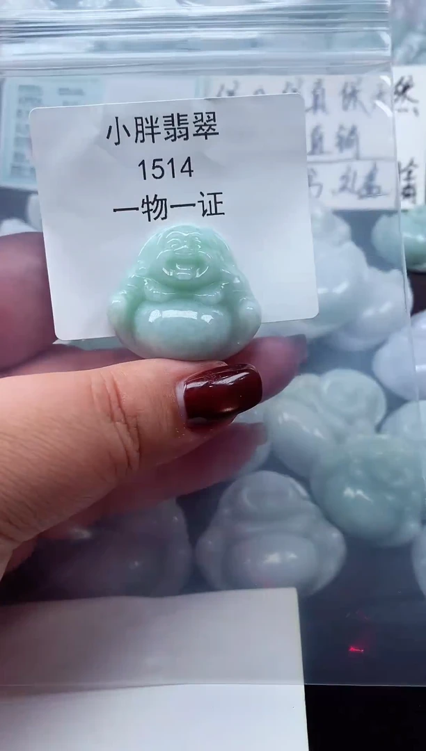 颈饰未镶嵌翡翠缅甸天然A货翡翠1514