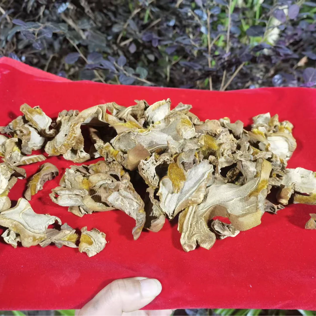 【金-丝-蕨-菇】净含量200g-1500g【阿徐现收】