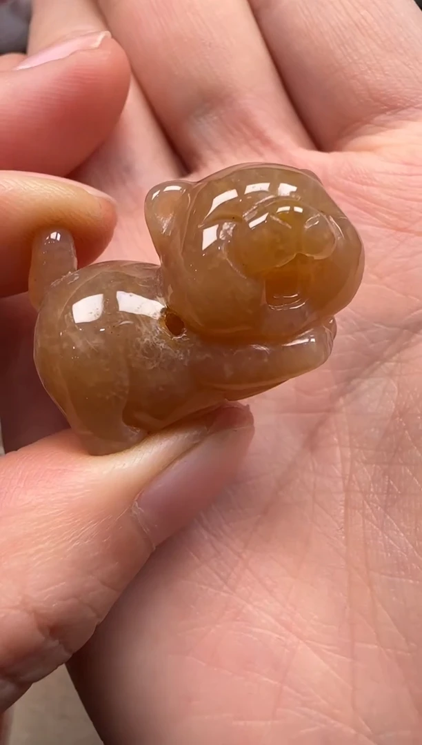 【闪购商品】硅化珊瑚（珊瑚玉）颈饰未镶嵌662