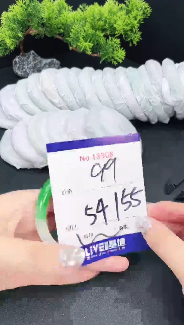 未镶嵌手镯翡翠18808