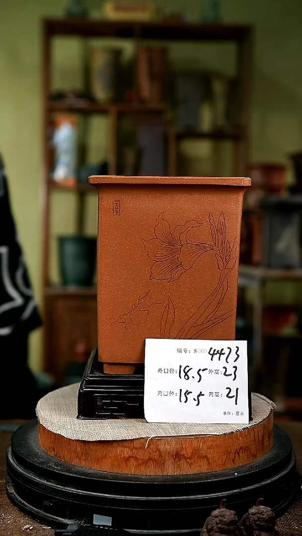 紫砂花盆花卉园艺4473+s