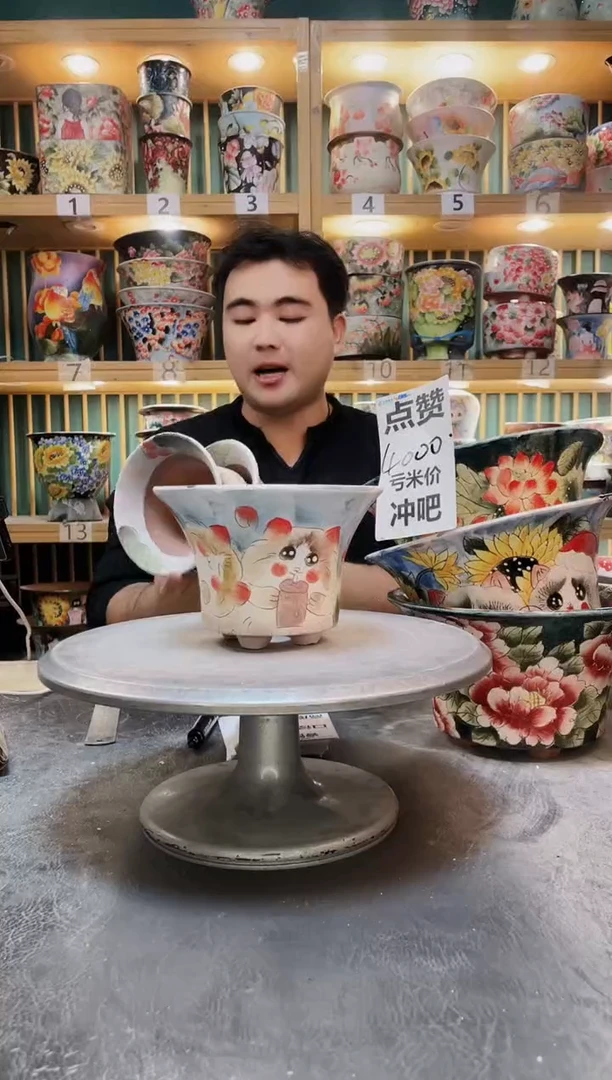 陶默认微瑕一物一拍1213-103