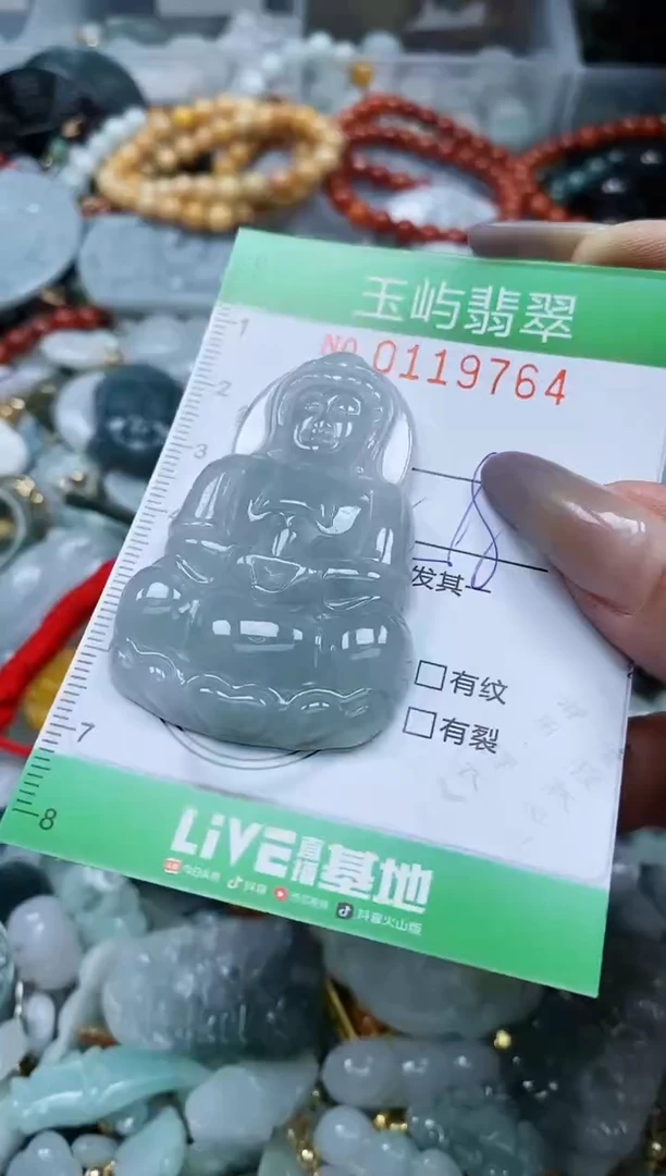 翡翠未镶嵌颈饰闪购0119764