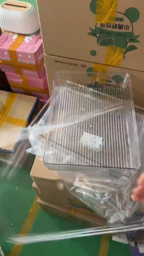 塑料2个有盖扁款30/20.5/5清仓款不退不换