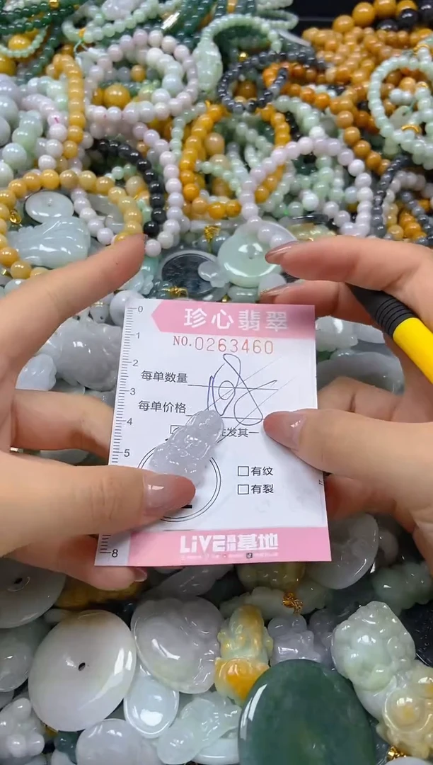 翡翠未镶嵌颈饰闪购0263460多样性发其一