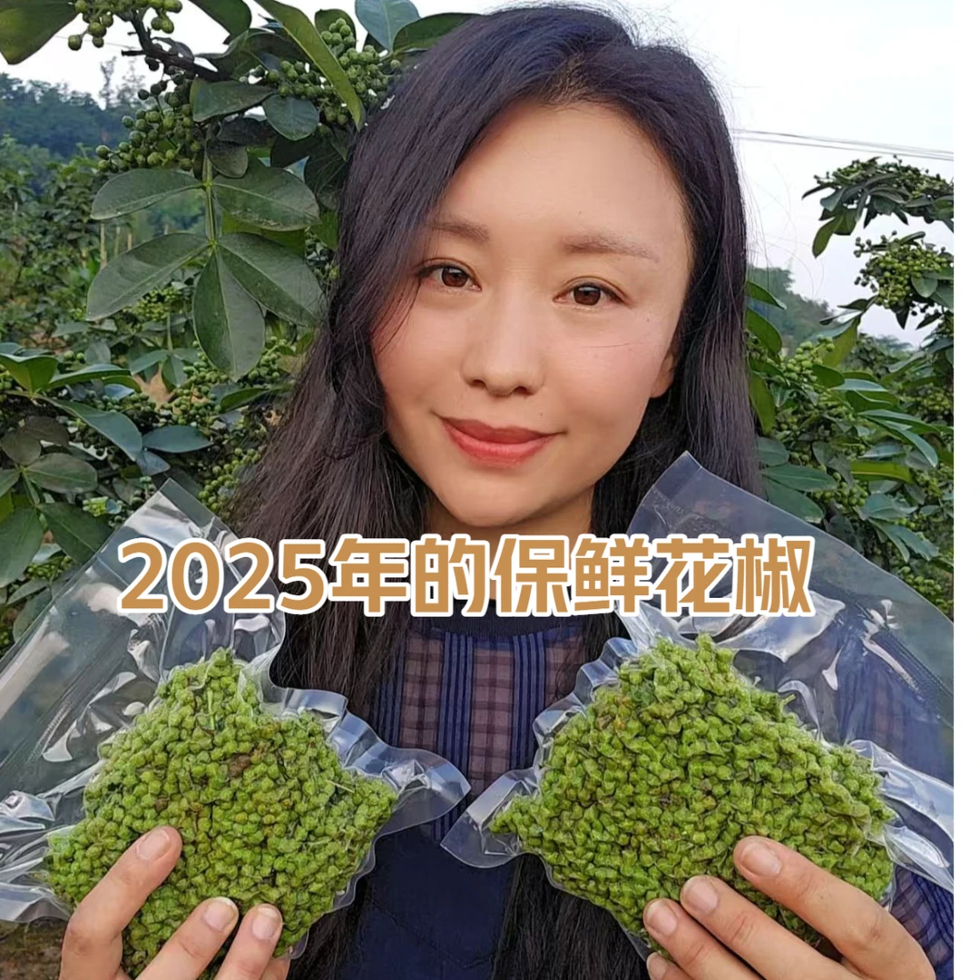 2025年新鲜青花椒保鲜花椒350克一袋保鲜青花椒