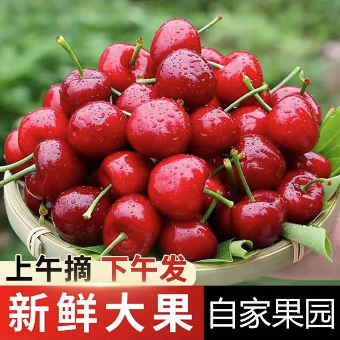 先锋【脆甜可口】山东烟台大樱桃车厘子新鲜水果现摘3/5斤包邮