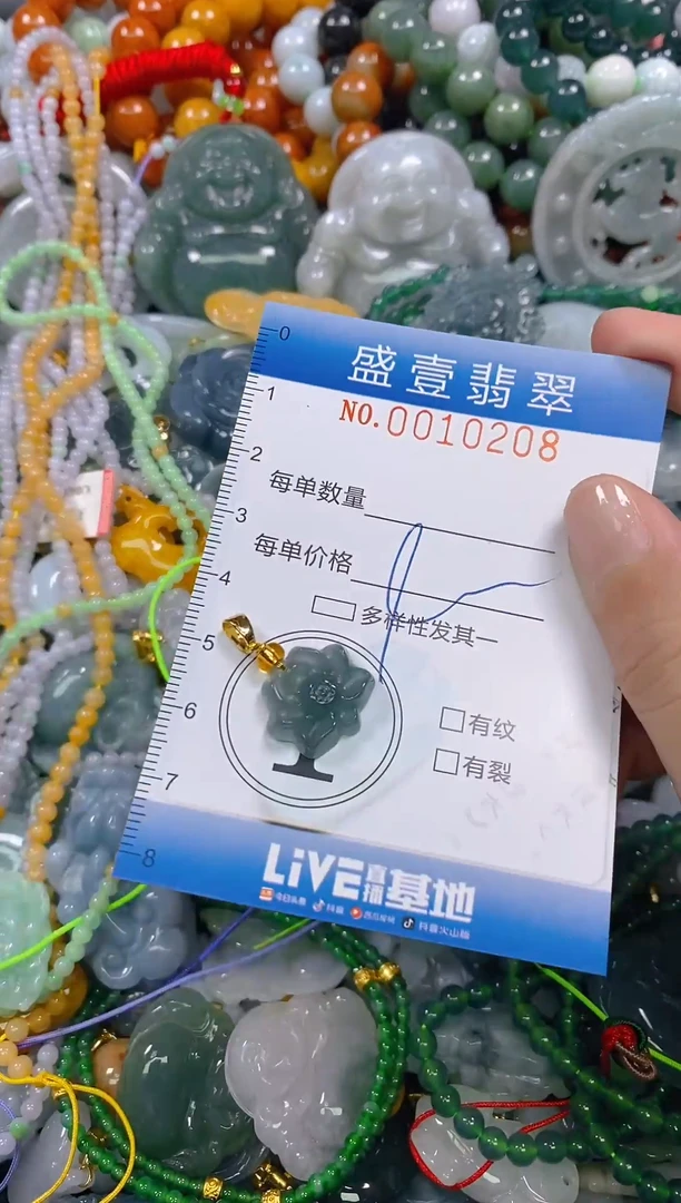 颈饰未镶嵌翡翠闪购0010208