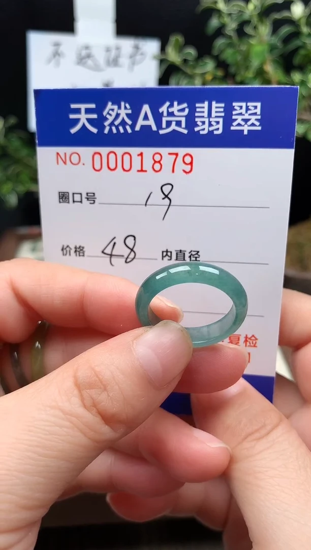 未镶嵌戒指翡翠19#