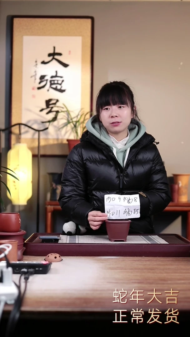 【闪购商品】紫砂花盆精工小四方一只无托