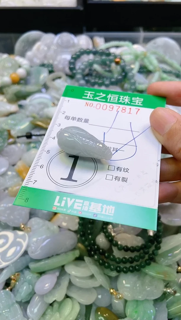 翡翠未镶嵌颈饰闪购0097817
