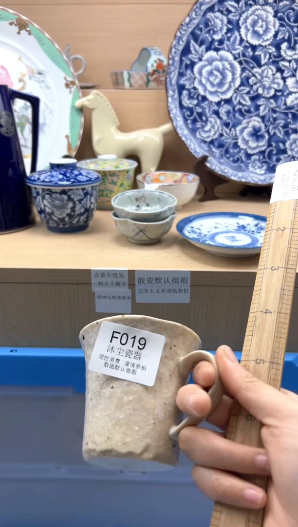 瓷片         F019