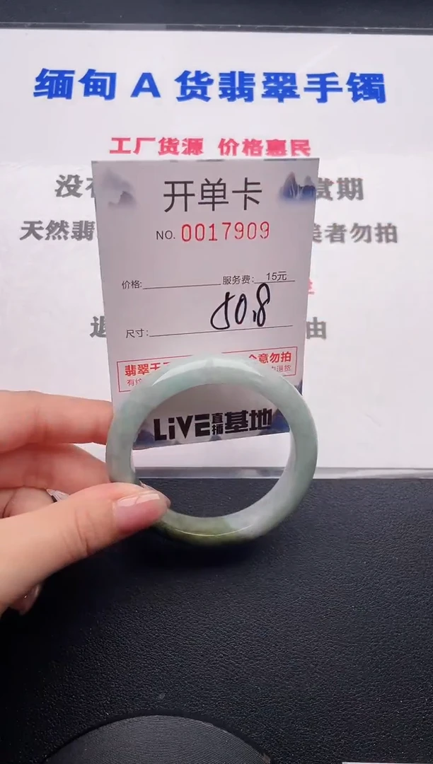 未镶嵌手镯翡翠09