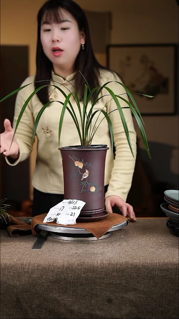 【闪购商品】紫砂花盆紫砂花盆4613+z