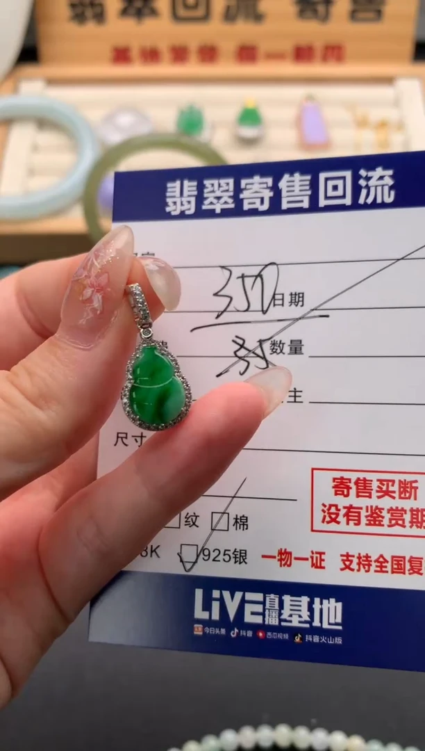 翡翠银S925镶嵌颈饰10135878