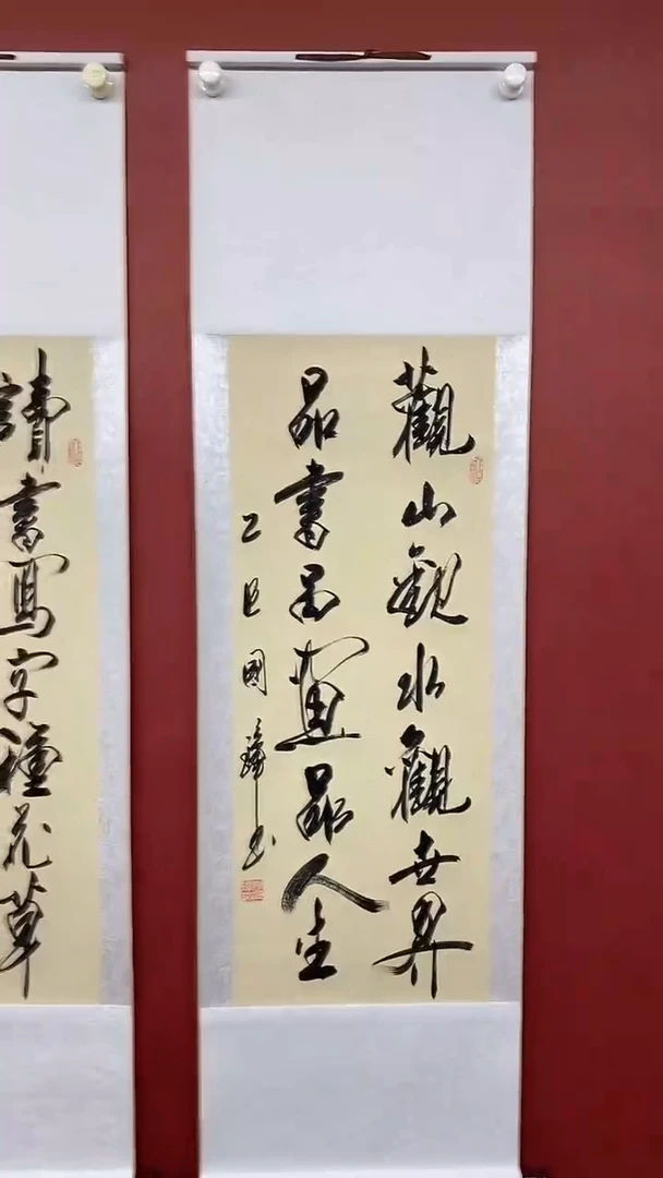 书法姚国璋   观山观水 竖轴