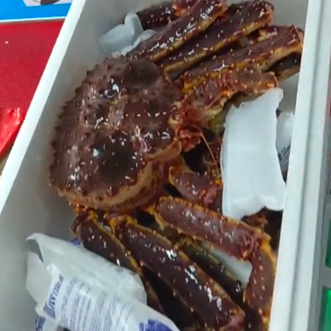 帝王蟹，【活发，保鲜不包活】，介意勿拍