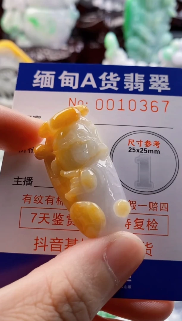 翡翠未镶嵌吊坠(不含链)1