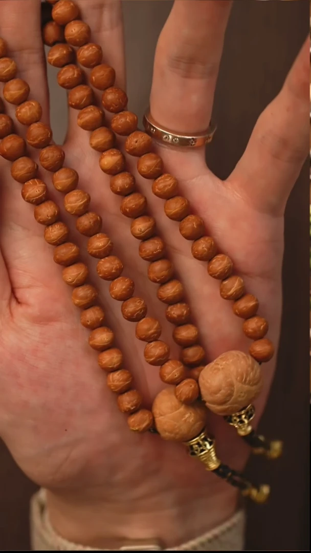 手串凤眼菩提S05酸枣核天瞳款金瞳