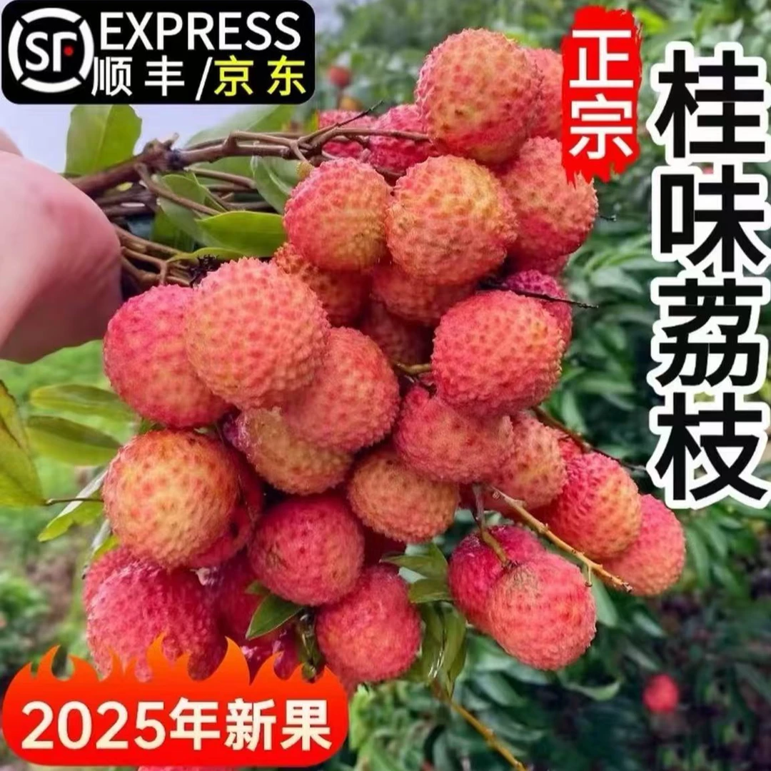【顺丰京东冷链】广东高州桂味荔枝新鲜现摘现发当季新鲜水果荔枝同城送4斤 8斤