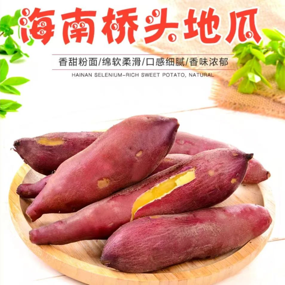 海南正宗桥头富硒地瓜现挖新鲜软糯香甜无筋无丝产地直销3斤/6斤装番薯红薯桥头地瓜红心蜜薯北京市