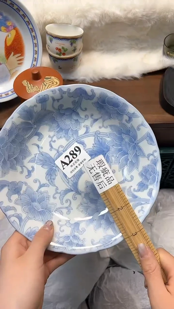 【闪购商品】瓷片          A289