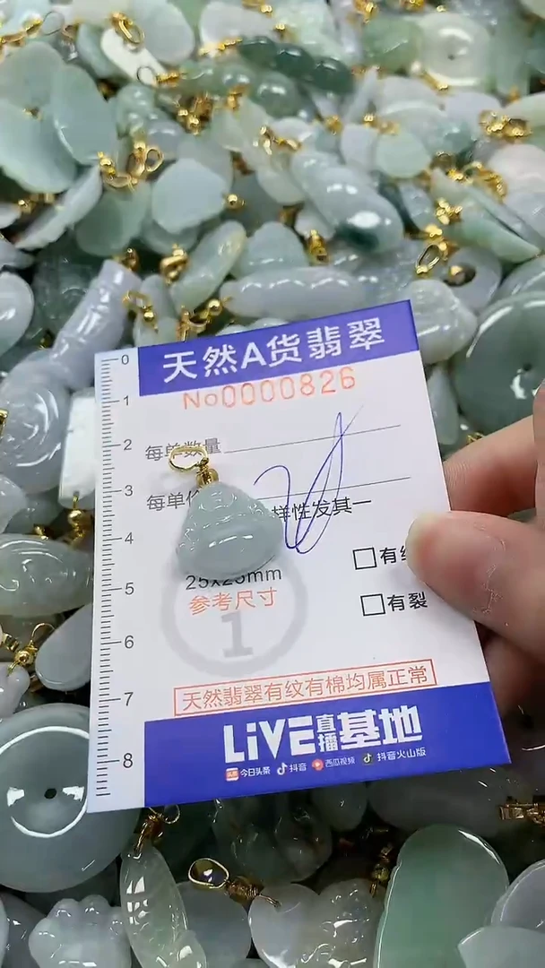 颈饰未镶嵌翡翠纯天然a货翡翠