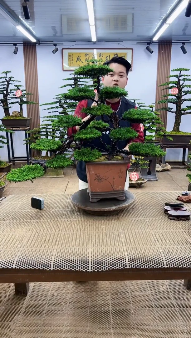 【闪购商品】00000000000