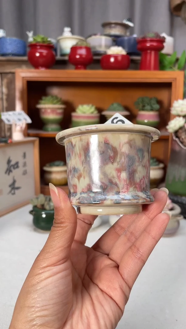 瓷片816小芳直播编号