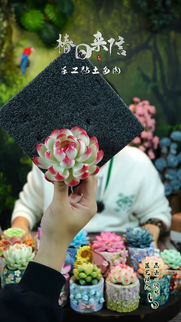 惊鸿仙子。。。。。。。。。