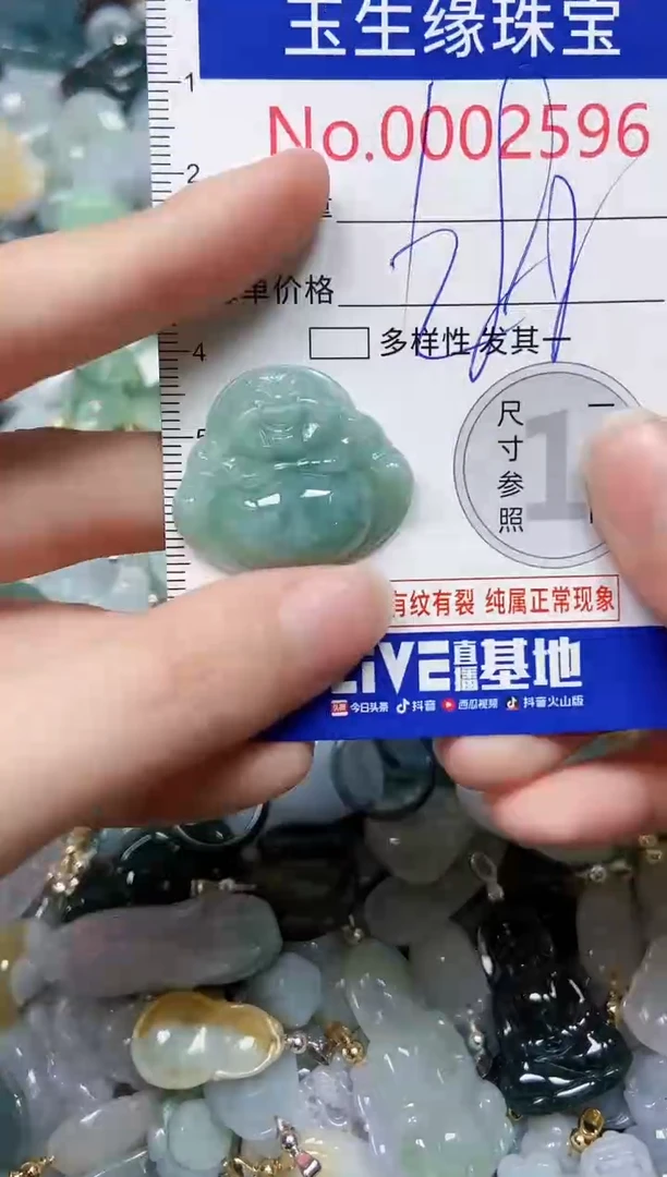 【闪购商品】翡翠颈饰未镶嵌闪购00002596