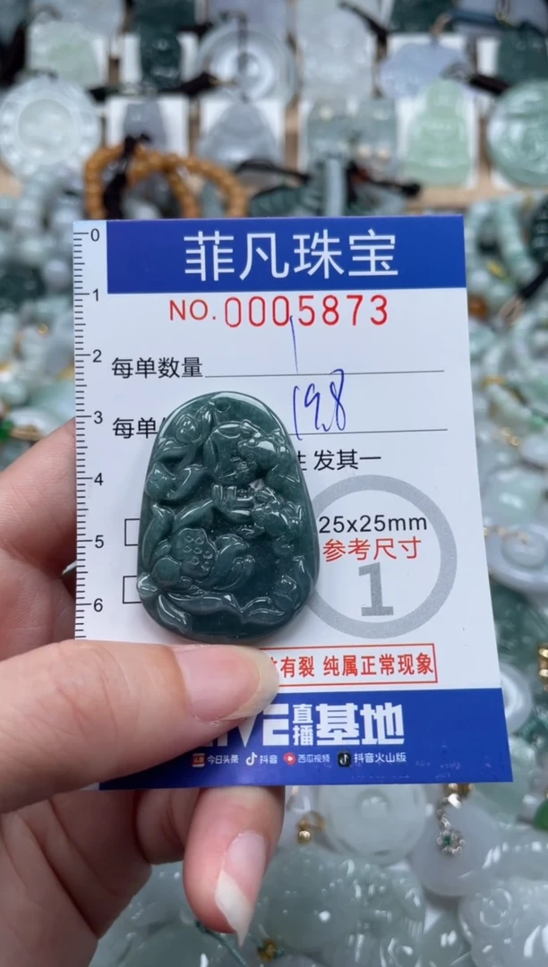 翡翠未镶嵌颈饰00..5873
