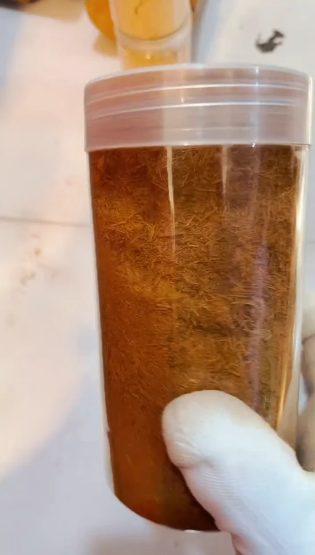 柏木（崖柏）黑骨粉单罐太行崖柏陈化手把手串